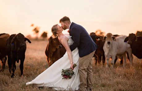 bride and groom kissing in cow paddock
